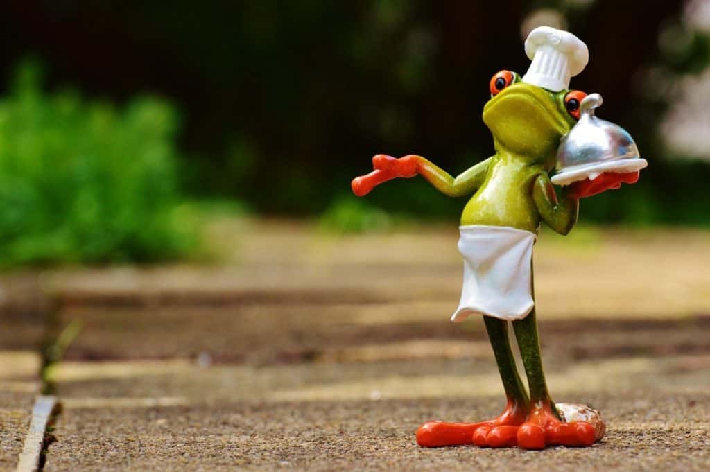 frog, cooking, eat