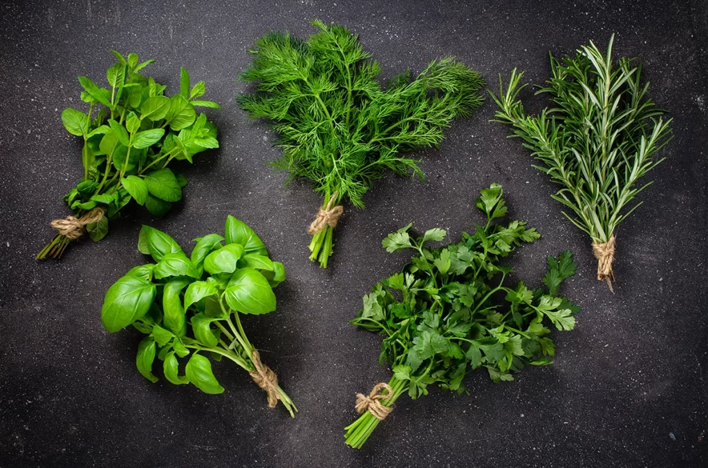 Fresh Herbs