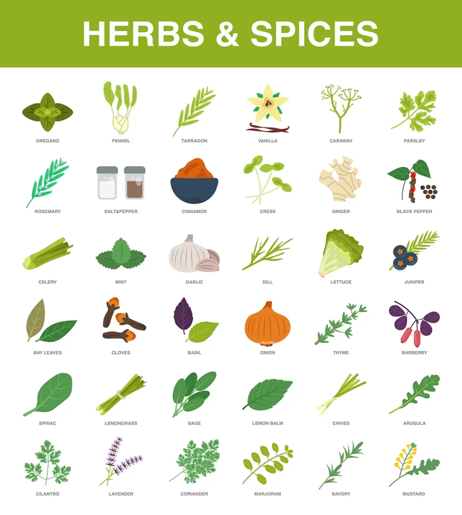 22 Spectacular Spices and Herbs