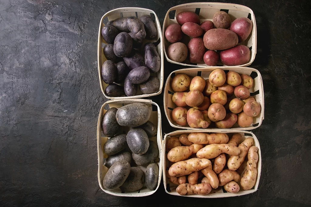 15 Storage Tips for Fresh Produce